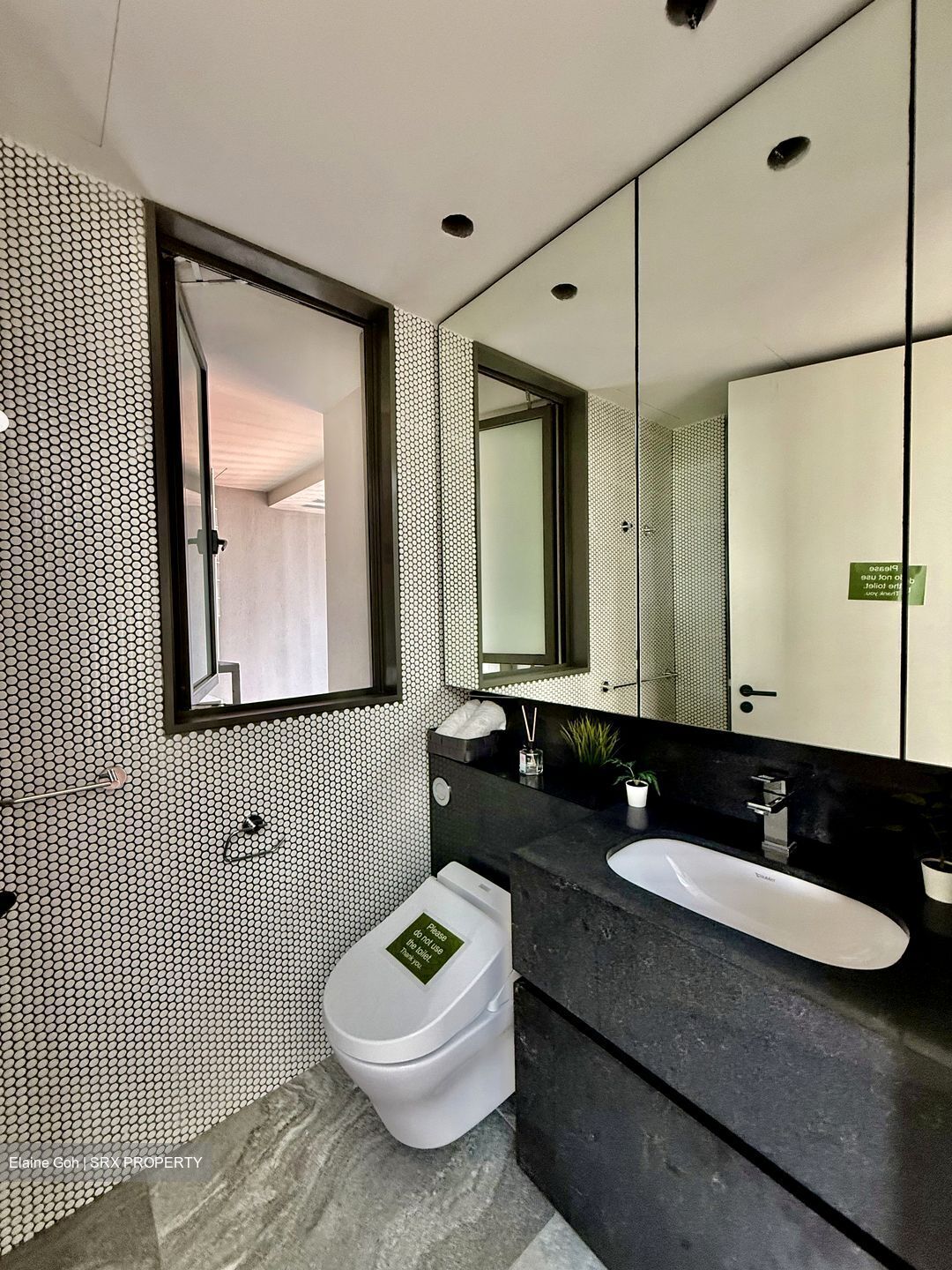 10 Evelyn (D11), Apartment #578783741